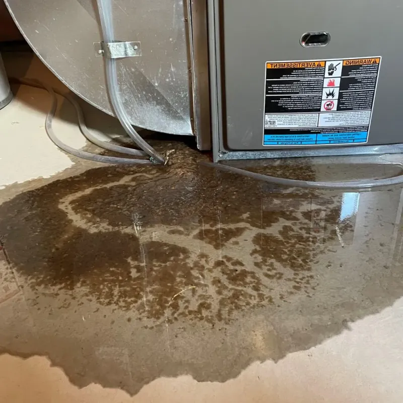 Pipe Burst and Leak Restoration in Somerville, MA